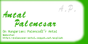 antal palencsar business card